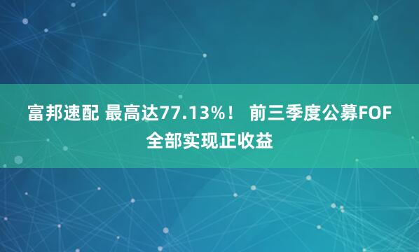 富邦速配 最高达77.13%！ 前三季度公募FOF全部实现正收益